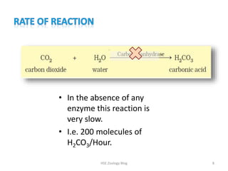 Enzymes Enzymes