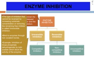 Enzymes | PPTX