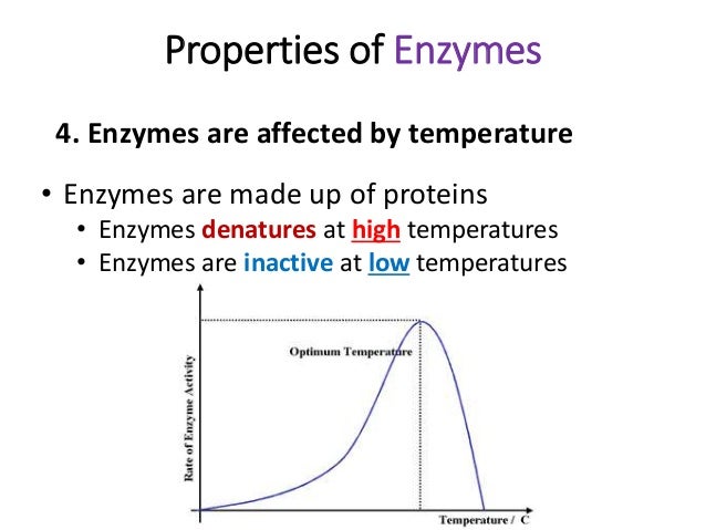 How are enzymes made?