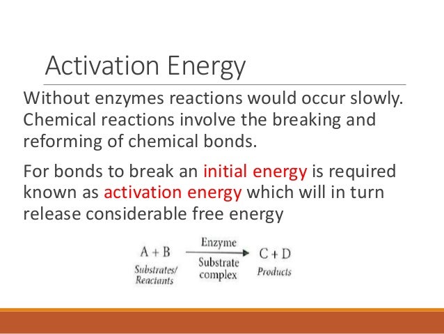 practical enzymes and reactions Core practical 4 – from topic 2 (genes and health) aim: to investigate the effect of enzyme concentration on the initial rate of reaction independent variable: protease concentration (measured in percentage) dependent variable: time taken for enzyme to breakdown substrate (in seconds) control variables. practical enzymes and reactions Core practical 4 – from topic 2 (genes and health) aim: to investigate the effect of enzyme concentration on the initial rate of reaction independent variable: protease concentration (measured in percentage) dependent variable: time taken for enzyme to breakdown substrate (in seconds) control variables.