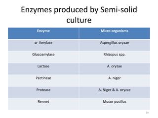 Enzymes produced by Semi-solid
culture
Enzyme Micro-organisms
α- Amylase Aspergillus oryzae
Glucoamylase Rhizopus spp.
Lactase A. oryzae
Pectinase A. niger
Protease A. Niger & A. oryzae
Rennet Mucor pusillus
14
 
