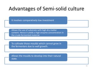 Advantages of Semi-solid culture
It involves comparatively low investment
Allows the use of substrate with high dry matter
content. Hence it yields a high enzyme concentration in
the crude fermented material.
To cultivate those moulds which cannot grow in
the fermenters due to wall growth.
Allows the moulds to develop into their natural
state.
15
 