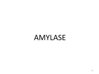 AMYLASE
23
 