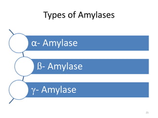Types of Amylases
α- Amylase
ß- Amylase
γ- Amylase
25
 