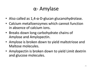 α- Amylase
• Also called as 1,4-α-D-glucan glucanohydrolase.
• Calcium metalloenzymes which cannot function
in absence of calcium ions.
• Breaks down long carbohydrate chains of
Amylose and Amylopectin.
• Amylose is broken down to yield maltotriose and
Maltose molecules.
• Amylopectin is broken down to yield Limit dextrin
and glucose molecules.
26
 
