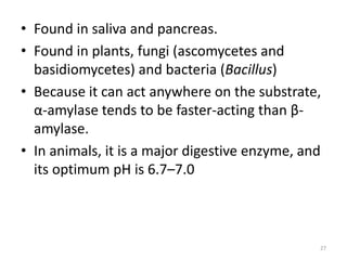 • Found in saliva and pancreas.
• Found in plants, fungi (ascomycetes and
basidiomycetes) and bacteria (Bacillus)
• Because it can act anywhere on the substrate,
α-amylase tends to be faster-acting than β-
amylase.
• In animals, it is a major digestive enzyme, and
its optimum pH is 6.7–7.0
27
 