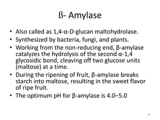 ß- Amylase
• Also called as 1,4-α-D-glucan maltohydrolase.
• Synthesized by bacteria, fungi, and plants.
• Working from the non-reducing end, β-amylase
catalyzes the hydrolysis of the second α-1,4
glycosidic bond, cleaving off two glucose units
(maltose) at a time.
• During the ripening of fruit, β-amylase breaks
starch into maltose, resulting in the sweet flavor
of ripe fruit.
• The optimum pH for β-amylase is 4.0–5.0
28
 