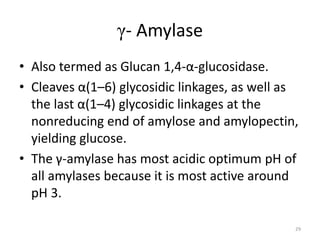 γ- Amylase
• Also termed as Glucan 1,4-α-glucosidase.
• Cleaves α(1–6) glycosidic linkages, as well as
the last α(1–4) glycosidic linkages at the
nonreducing end of amylose and amylopectin,
yielding glucose.
• The γ-amylase has most acidic optimum pH of
all amylases because it is most active around
pH 3.
29
 