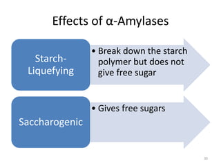 Effects of α-Amylases
• Break down the starch
polymer but does not
give free sugar
Starch-
Liquefying
• Gives free sugars
Saccharogenic
30
 