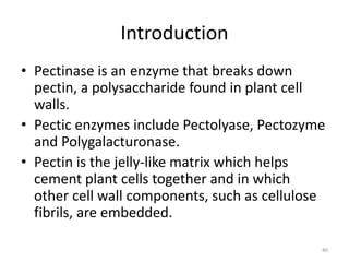 Introduction
• Pectinase is an enzyme that breaks down
pectin, a polysaccharide found in plant cell
walls.
• Pectic enzymes include Pectolyase, Pectozyme
and Polygalacturonase.
• Pectin is the jelly-like matrix which helps
cement plant cells together and in which
other cell wall components, such as cellulose
fibrils, are embedded.
40
 