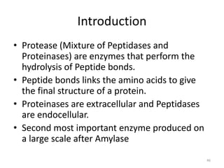 Introduction
• Protease (Mixture of Peptidases and
Proteinases) are enzymes that perform the
hydrolysis of Peptide bonds.
• Peptide bonds links the amino acids to give
the final structure of a protein.
• Proteinases are extracellular and Peptidases
are endocellular.
• Second most important enzyme produced on
a large scale after Amylase
46
 