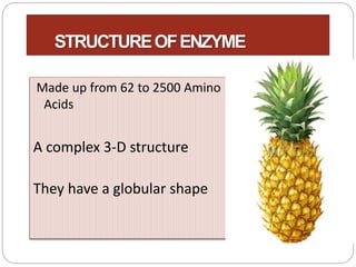 Enzymes | PPTX