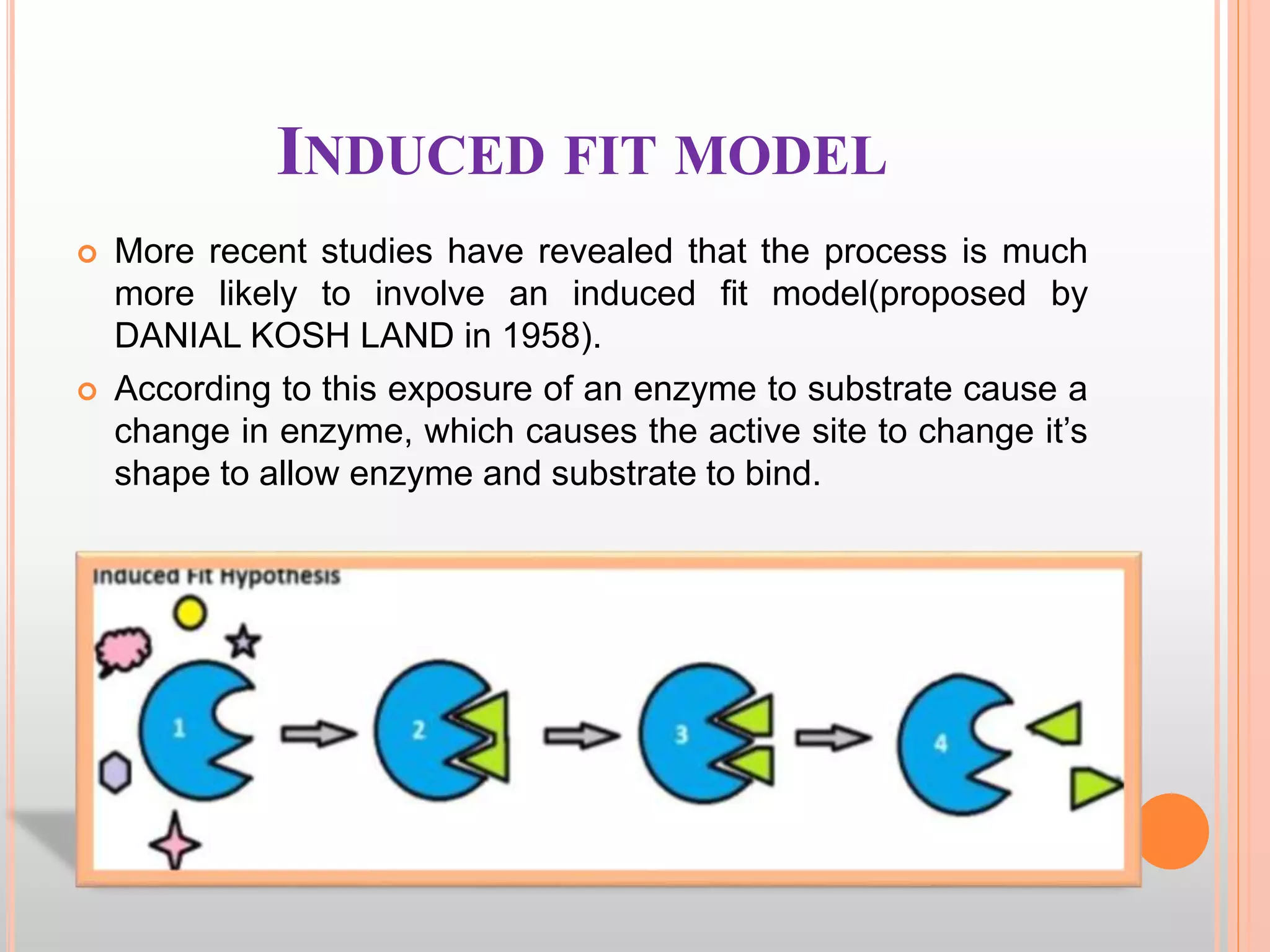 Enzymes Biochemistry PPT