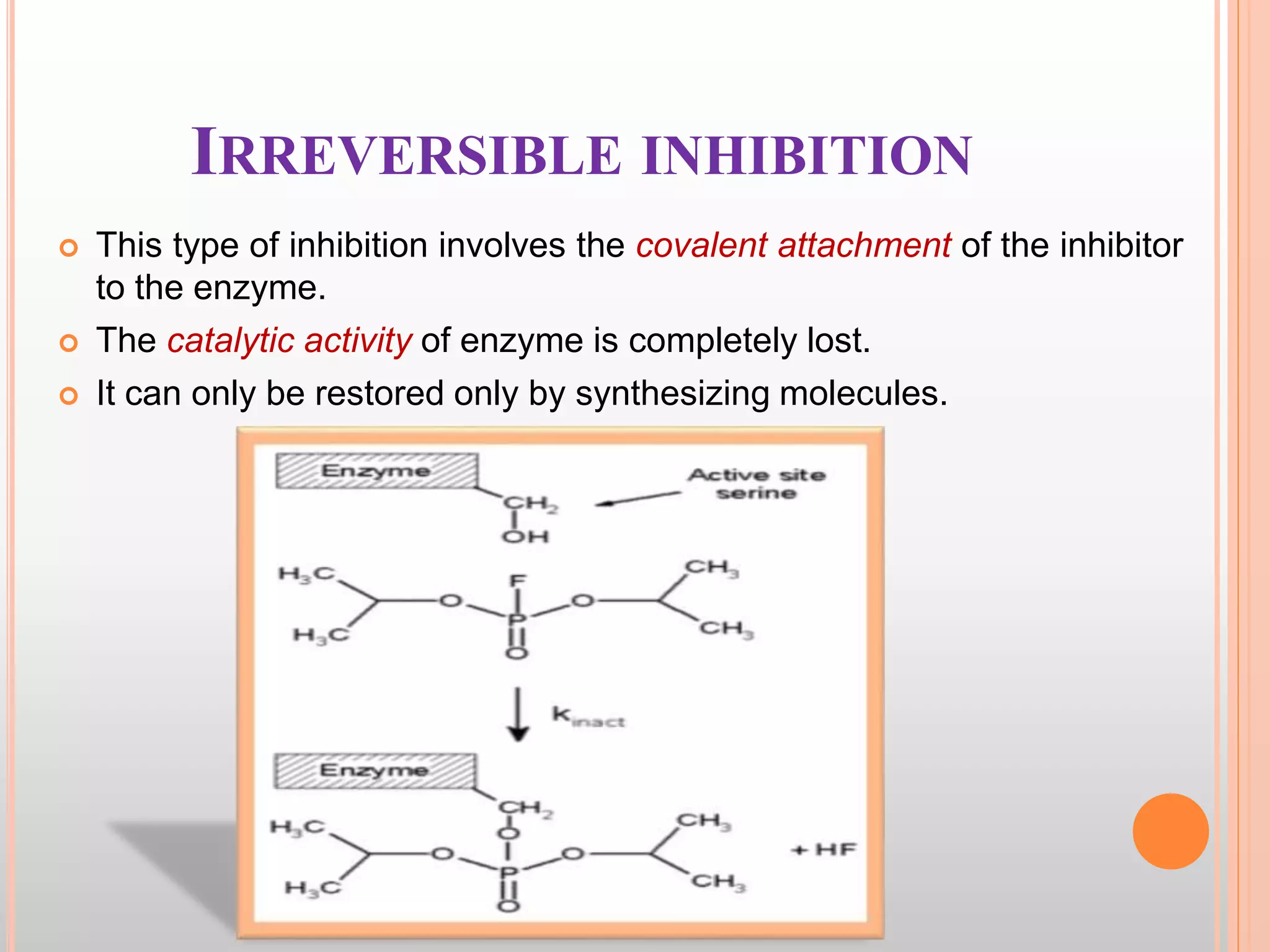 Enzymes Biochemistry | PPTX