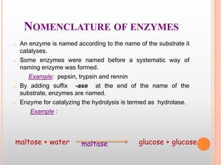 NOMENCLATURE OF ENZYMES
o An enzyme is named according to the name of the substrate it
catalyses.
o Some enzymes were named before a systematic way of
naming enzyme was formed.
Example: pepsin, trypsin and rennin
o By adding suffix -ase at the end of the name of the
substrate, enzymes are named.
o Enzyme for catalyzing the hydrolysis is termed as hydrolase.
Example :
maltose + water glucose + glucosemaltase
 