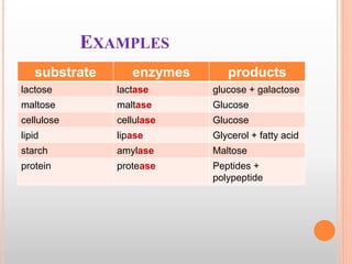 EXAMPLES
substrate enzymes products
lactose lactase glucose + galactose
maltose maltase Glucose
cellulose cellulase Glucose
lipid lipase Glycerol + fatty acid
starch amylase Maltose
protein protease Peptides +
polypeptide
 