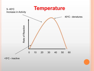 RateofReaction
Temperature
0 20 30 5010 40 60
40oC - denatures
5- 40oC
Increase in Activity
<5oC - inactive
 