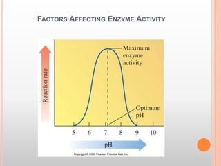 FACTORS AFFECTING ENZYME ACTIVITY
 