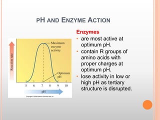 PH AND ENZYME ACTION
Enzymes
• are most active at
optimum pH.
• contain R groups of
amino acids with
proper charges at
optimum pH.
• lose activity in low or
high pH as tertiary
structure is disrupted.
 