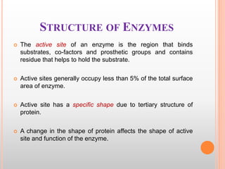 STRUCTURE OF ENZYMES
 The active site of an enzyme is the region that binds
substrates, co-factors and prosthetic groups and contains
residue that helps to hold the substrate.
 Active sites generally occupy less than 5% of the total surface
area of enzyme.
 Active site has a specific shape due to tertiary structure of
protein.
 A change in the shape of protein affects the shape of active
site and function of the enzyme.
 