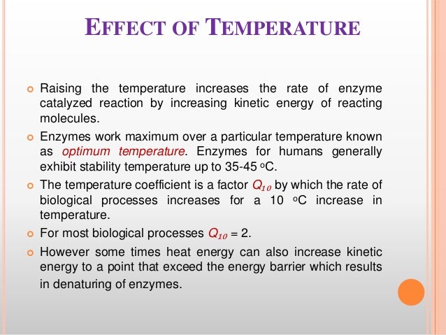 effect of temperature on enzymes Given the above considerations, each enzyme has a temperatuare range in which a maximal rate of reaction is achieved this maximum is known as the temperature optimum. effect of temperature on enzymes Given the above considerations, each enzyme has a temperatuare range in which a maximal rate of reaction is achieved this maximum is known as the temperature optimum.