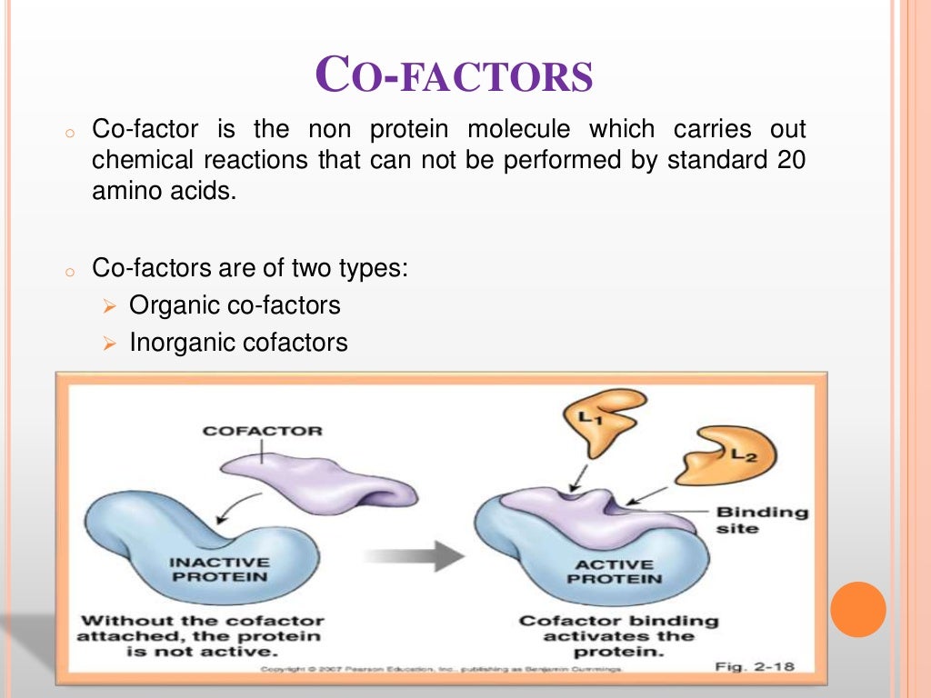 Enzymes Biochemistry
