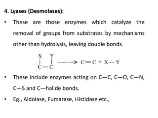 4. Lyases (Desmolases):
• These are those enzymes which catalyze the
removal of groups from substrates by mechanisms
other than hydrolysis, leaving double bonds.
• These include enzymes acting on C—C, C—O, C—N,
C—S and C—halide bonds.
• Eg., Aldolase, Fumarase, Histidase etc.,
 