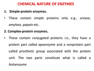 CHEMICAL NATURE OF ENZYMES
1. Simple-protein enzymes.
• These contain simple proteins only e.g., urease,
amylase, papain etc.
2. Complex-protein enzymes.
• These contain conjugated proteins i.e., they have a
protein part called apoenzyme and a nonprotein part
called prosthetic group associated with the protein
unit. The two parts constitute what is called a
holoenzyme
 