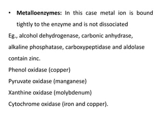 • Metalloenzymes: In this case metal ion is bound
tightly to the enzyme and is not dissociated
Eg., alcohol dehydrogenase, carbonic anhydrase,
alkaline phosphatase, carboxypeptidase and aldolase
contain zinc.
Phenol oxidase (copper)
Pyruvate oxidase (manganese)
Xanthine oxidase (molybdenum)
Cytochrome oxidase (iron and copper).
 