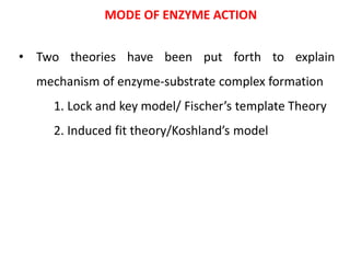 MODE OF ENZYME ACTION
• Two theories have been put forth to explain
mechanism of enzyme-substrate complex formation
1. Lock and key model/ Fischer’s template Theory
2. Induced fit theory/Koshland’s model
 