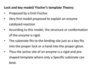 Lock and key model/ Fischer’s template Theory:
• Proposed by a Emil Fischer.
• Very first model proposed to explain an enzyme
catalyzed reaction
• According to this model, the structure or conformation
of the enzyme is rigid.
• The substrate fits to the binding site just as a key fits
into the proper lock or a hand into the proper glove.
• Thus the active site of an enzyme is a rigid and pre-
shaped template where only a Specific substrate can
bind.
 