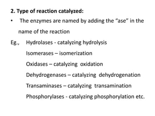 2. Type of reaction catalyzed:
• The enzymes are named by adding the “ase” in the
name of the reaction
Eg., Hydrolases - catalyzing hydrolysis
Isomerases – isomerization
Oxidases – catalyzing oxidation
Dehydrogenases – catalyzing dehydrogenation
Transaminases – catalyzing transamination
Phosphorylases - catalyzing phosphorylation etc.
 