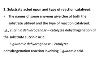 3. Substrate acted upon and type of reaction catalyzed:
• The names of some enzymes give clue of both the
substrate utilized and the type of reaction catalyzed.
Eg., succinic dehydrogenase – catalyzes dehydrogenation of
the substrate succinic acid.
L-glutamic dehydrogenase – catalyzes
dehydrogenation reaction involving L-glutamic acid.
 