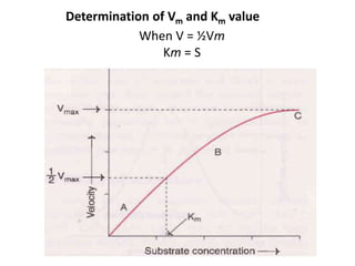 Determination of Vm and Km value
When V = ½Vm
Km = S
 