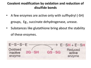 Covalent modification by oxidation and reduction of
disulfide bonds
• A few enzymes are active only with sulfhydryl (-SH)
groups, Eg., succinate dehydrogenase, urease.
• Substances like glutathione bring about the stability
of these enzymes.
 