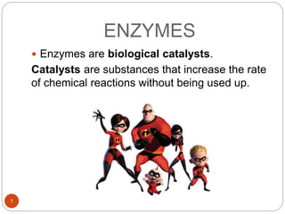 ENZYMES
 Enzymes are biological catalysts.
Catalysts are substances that increase the rate
of chemical reactions without being used up.
1
 
