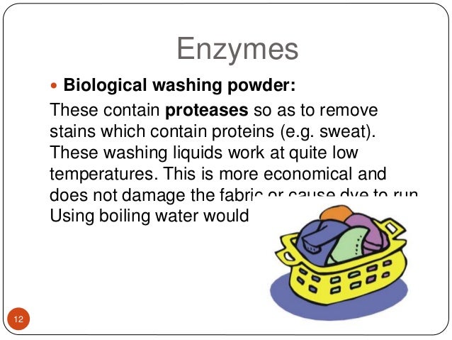 enzymes in washing powder