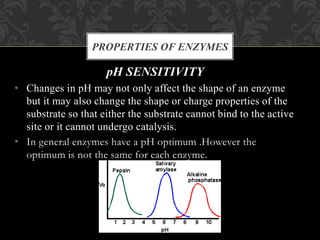 pH SENSITIVITY
• Changes in pH may not only affect the shape of an enzyme
but it may also change the shape or charge properties of the
substrate so that either the substrate cannot bind to the active
site or it cannot undergo catalysis.
• In general enzymes have a pH optimum .However the
optimum is not the same for each enzyme.
PROPERTIES OF ENZYMES
 
