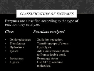 Enzymes are classified according to the type of
reaction they catalyze:
Class Reactions catalyzed
• Oxidoreductases Oxidation-reduction.
• Transferases Transfer groups of atoms.
• Hydrolases Hydrolysis.
• Lyases Add atoms/remove atoms
to/from a double bond.
• Isomerases Rearrange atoms .
• Ligases Use ATP to combine
molecules.
CLASSIFICATION OF ENZYMES
 