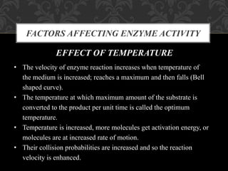 FACTORS AFFECTING ENZYME ACTIVITY
EFFECT OF TEMPERATURE
• The velocity of enzyme reaction increases when temperature of
the medium is increased; reaches a maximum and then falls (Bell
shaped curve).
• The temperature at which maximum amount of the substrate is
converted to the product per unit time is called the optimum
temperature.
• Temperature is increased, more molecules get activation energy, or
molecules are at increased rate of motion.
• Their collision probabilities are increased and so the reaction
velocity is enhanced.
 
