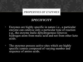 SPECIFICITY
• Enzymes are highly specific in nature i.e., a particular
enzyme can catalyse only a particular type of reaction
e.g., the enzyme malic dehydrogenase removes
hydrogen atom from malic acid and not from other keto
acids.
• The enzymes possess active sites which are highly
specific centres composed of varying number and
sequence of amino acids.
PROPERTIES OF ENZYMES
 