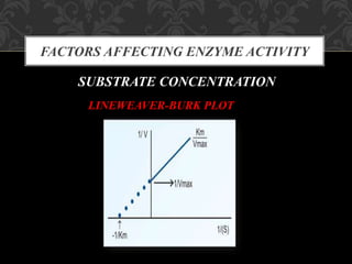 FACTORS AFFECTING ENZYME ACTIVITY
SUBSTRATE CONCENTRATION
LINEWEAVER-BURK PLOT
 