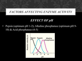 FACTORS AFFECTING ENZYME ACTIVITY
EFFECT OF pH
• Pepsin (optimum pH 1-2); Alkaline phosphatase (optimum pH 9-
10) & Acid phosphatase (4-5)
 