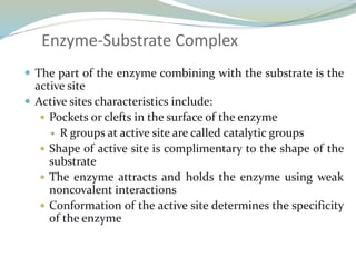 Enzyme-Substrate Complex
 The part of the enzyme combining with the substrate is the
active site
 Active sites characteristics include:
 Pockets or clefts in the surface of the enzyme
 R groups at active site are called catalytic groups
 Shape of active site is complimentary to the shape of the
substrate
 The enzyme attracts and holds the enzyme using weak
noncovalent interactions
 Conformation of the active site determines the specificity
of the enzyme
 