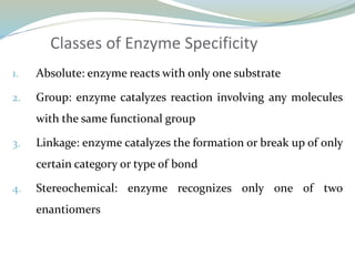 Classes of Enzyme Specificity
1. Absolute: enzyme reacts with only one substrate
2. Group: enzyme catalyzes reaction involving any molecules
with the same functional group
3. Linkage: enzyme catalyzes the formation or break up of only
certain category or type of bond
4. Stereochemical: enzyme recognizes only one of two
enantiomers
 