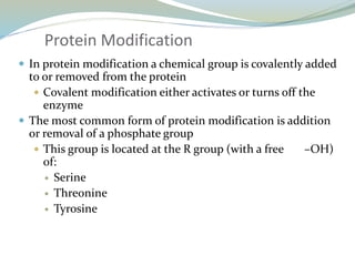 Protein Modification
 In protein modification a chemical group is covalently added
to or removed from the protein
 Covalent modification either activates or turns off the
enzyme
 The most common form of protein modification is addition
or removal of a phosphate group
 This group is located at the R group (with a free –OH)
of:
 Serine
 Threonine
 Tyrosine
 
