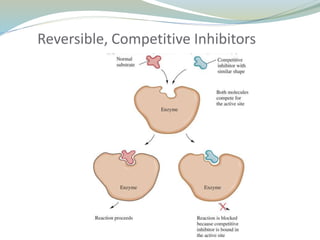 Reversible, Competitive Inhibitors
 