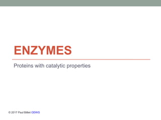 ENZYMES
Proteins with catalytic properties
© 2017 Paul Billiet ODWS
 