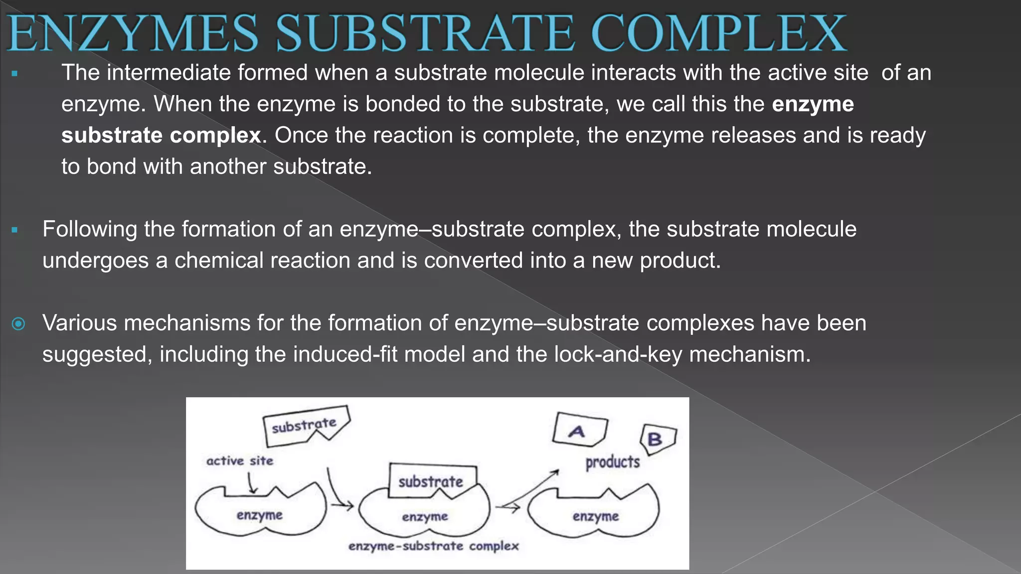 Enzyme substrate complex and enzyme action. | PPT