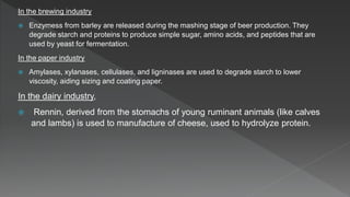 In the brewing industry
 Enzymess from barley are released during the mashing stage of beer production. They
degrade starch and proteins to produce simple sugar, amino acids, and peptides that are
used by yeast for fermentation.
In the paper industry
 Amylases, xylanases, cellulases, and ligninases are used to degrade starch to lower
viscosity, aiding sizing and coating paper.
In the dairy industry,
 Rennin, derived from the stomachs of young ruminant animals (like calves
and lambs) is used to manufacture of cheese, used to hydrolyze protein.
 